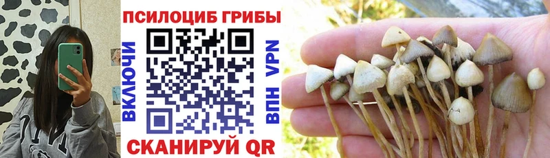 Купить где  Лысково  Псилоцибиновые грибы Magic Shrooms 